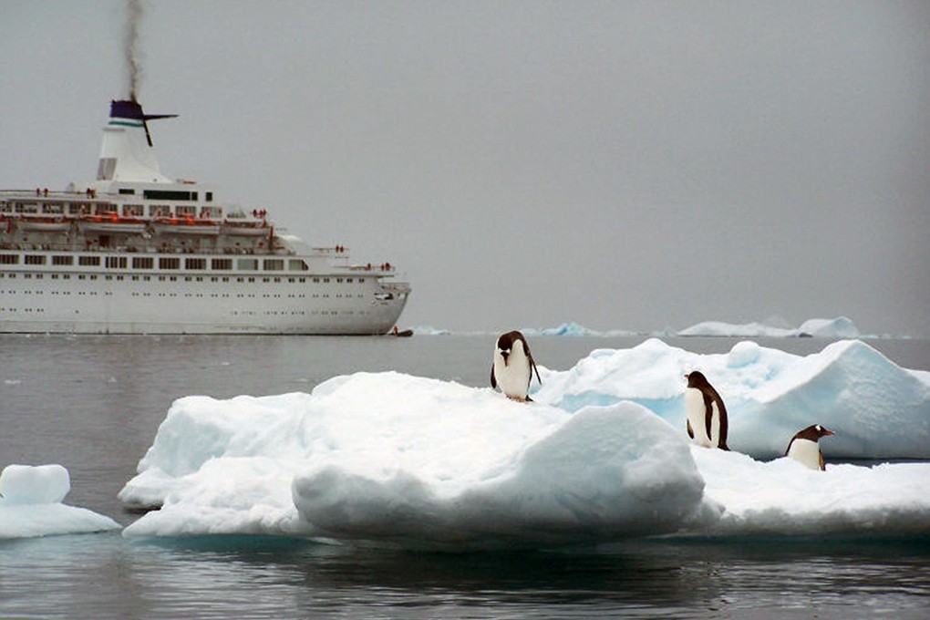Penguins on a ice floe in the Antarctic. Last month saw the lowest extent of Antarctic sea ice on record for July. Photo: The Record/TNS