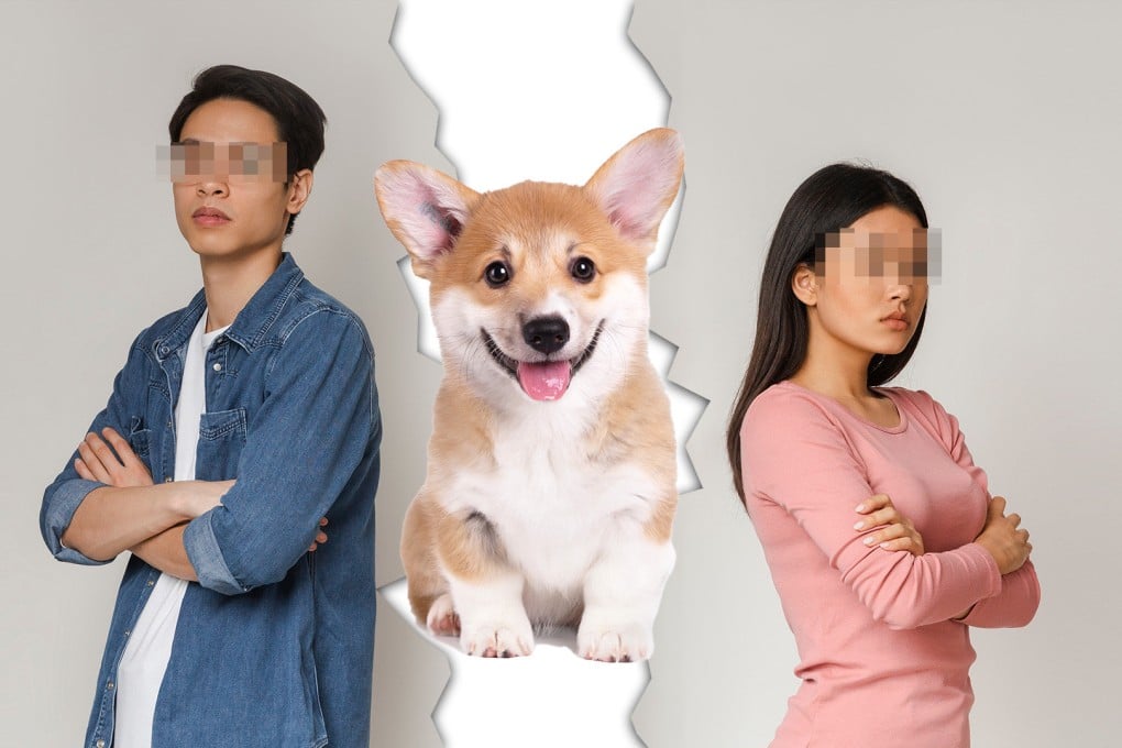 A couple fighting over ownership of a pet corgi end up agreeing to a joint custody arrangement in court. Photo: SCMP composite