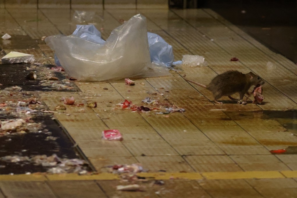 The Food and Environmental Hygiene Department conducts a study every six months in rodent-infested areas. Photo: Dickson Lee