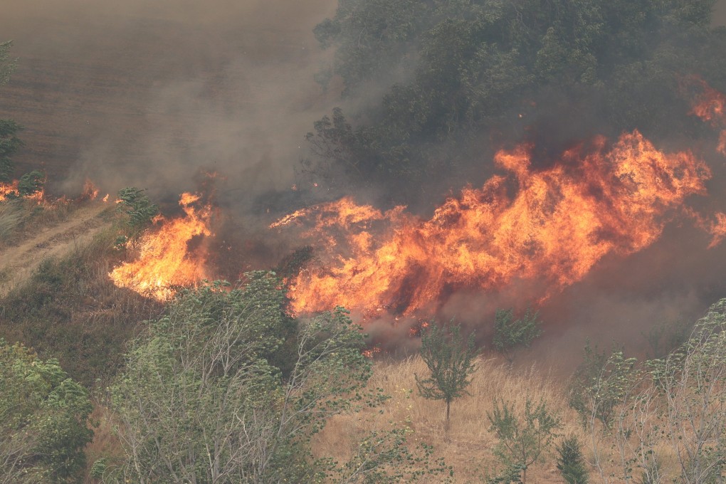 Flames of a forest fire rage in the municipality of Anon de Moncayo in Spain. Photo: dpa