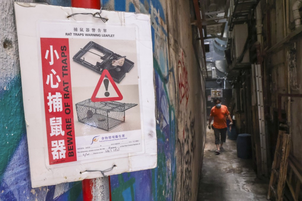 Critics of Hong Kong’s rodent infestation rate say it does not capture the severity of the city’s rat problem. Photo: K. Y. Cheng