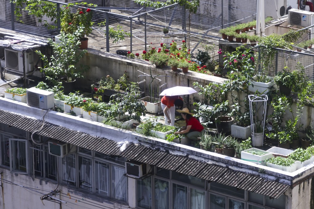 The viable space for rooftop farming in Hong Kong is not far short of the 7 million sq m of farmland in the city, the conference heard. Photo: Dickson Lee