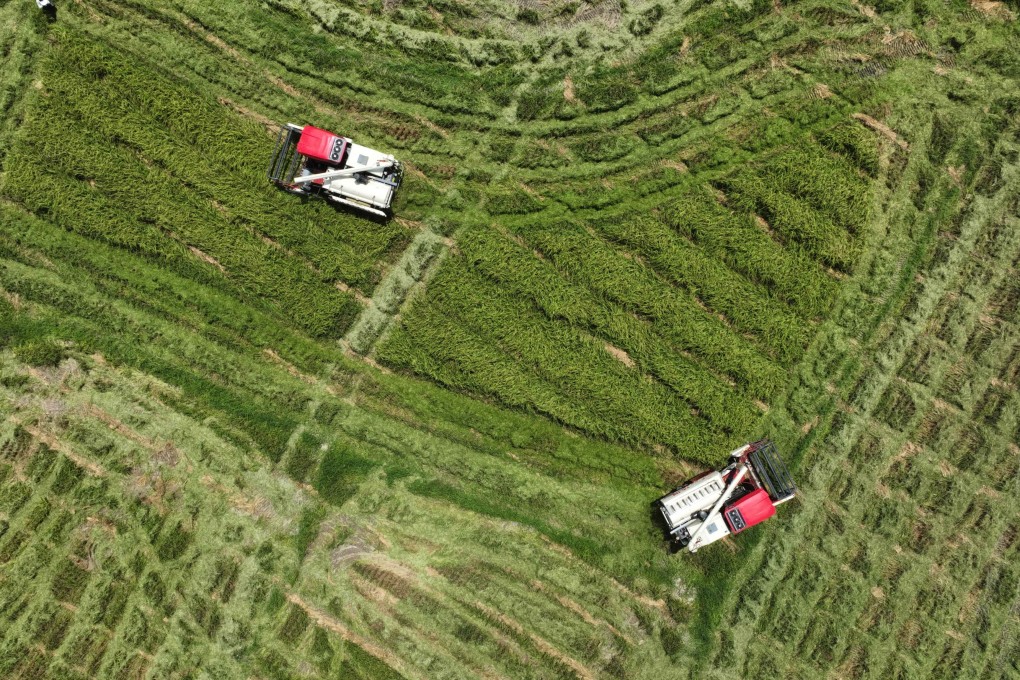 With the autumn grain harvest on the horizon, Chinese authorities are on high alert for the likelihood of more extreme weather events. Photo: Xinhua
