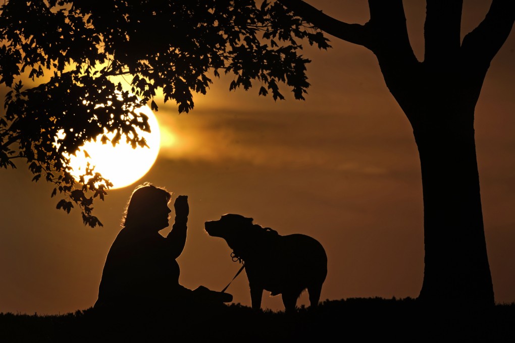 Health officials are warning people who are infected with monkeypox to stay away from household pets. Photo: AP
