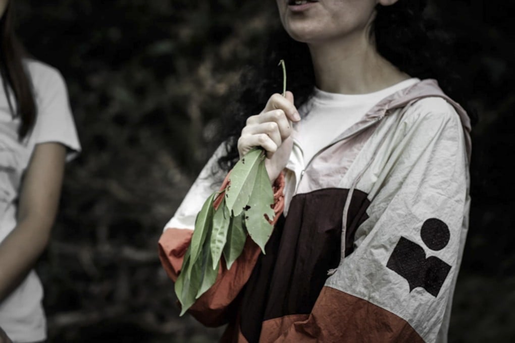 Forest bathing, a Japanese practice also known as shinrin-yoku, involves taking in the calming atmosphere of a forest to improve well-being. Photo: Courtesy of the Lung Fu Shan Environmental Education Centre