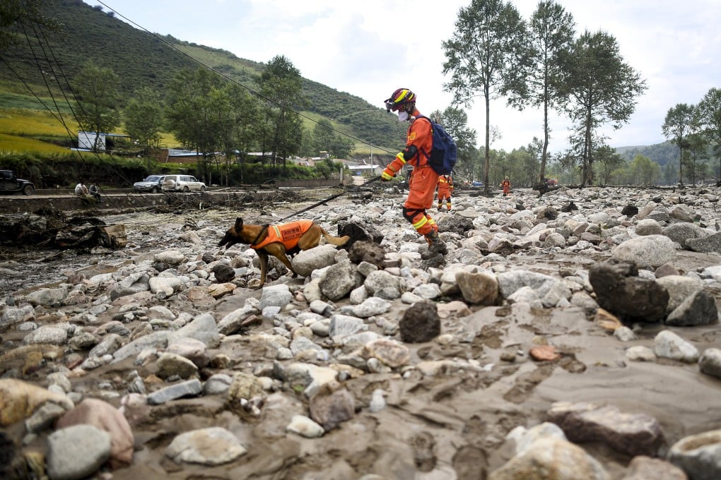 Rescue dogs join the relief work at a village in Datong county, Qinghai. Photo: Xinhua