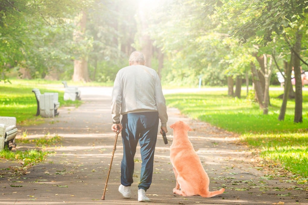 A dog in China went on a two-day hunger strike and died following the death of its owner. Photo: Handout