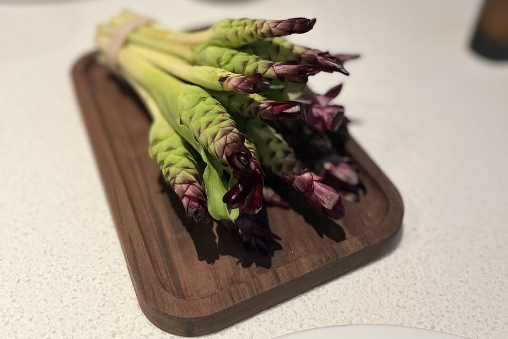 Siam tulip flowers at Plaa. Photo: Charmaine Mok