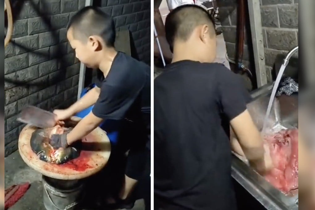A boy filmed expertly cleaning fish has attracted praise for his skill online, but some have questioned if it is safe for a small child to handle knives. Photo: Douyin