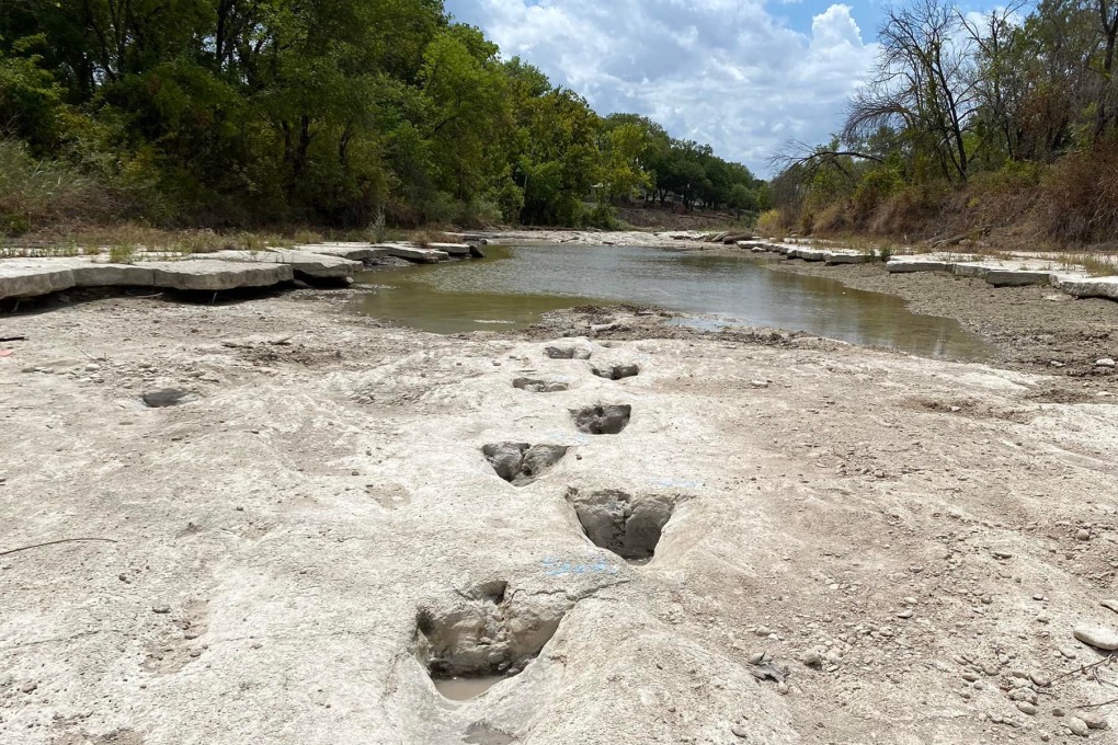 Dinosaur tracks from around 113 million years ago were discovered in Texas after a severe drought. Photo: Dinosaur Valley State Park via AFP)