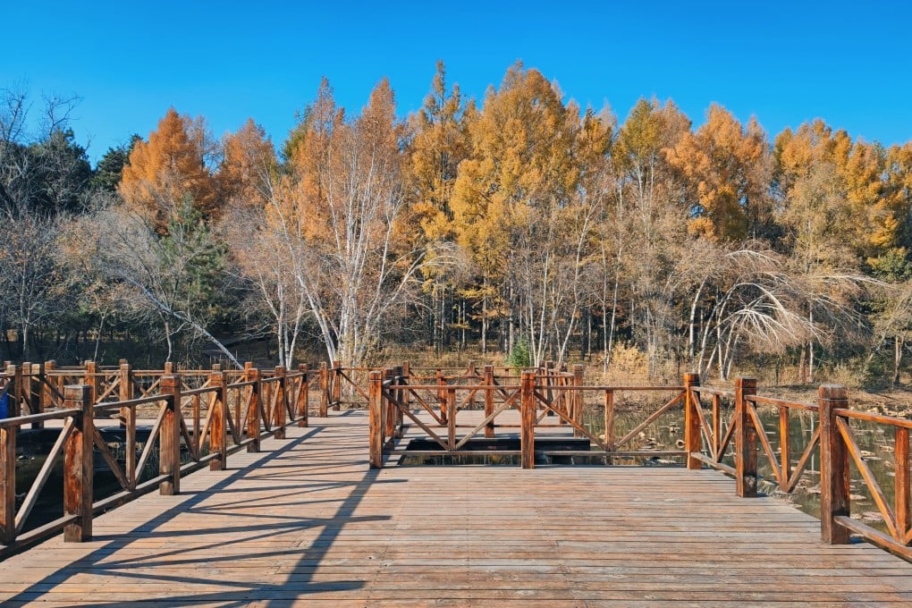 Changchun Jingyuetan National Scenic Area. Residents of the northeastern city are escaping for weekends of wild camping on the edge of the city, including at winter ski resorts. Photo: Getty Images