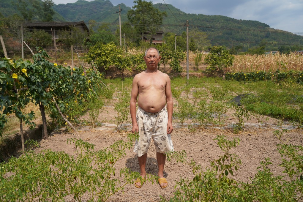 Sichuan farmer Zhao Yaoren stands in a field of dried crops. Photo: Tom Wang