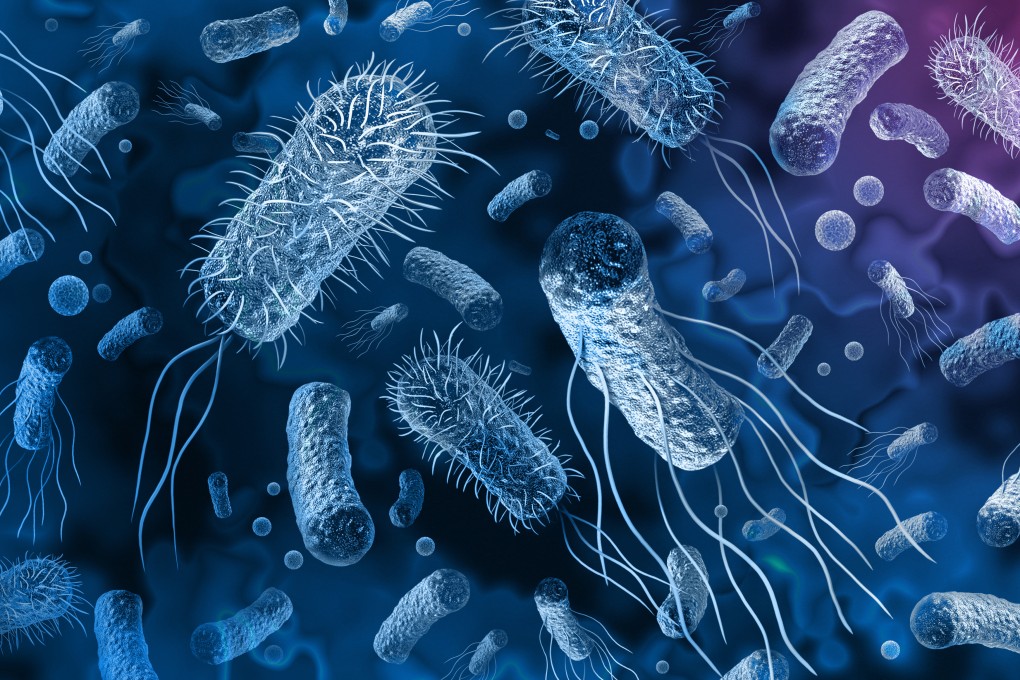 Medical researches at the University of Hong Kong have urged authorities to put measures in place to halt the spread of a drug-resistant superbug. Photo: Shutterstock