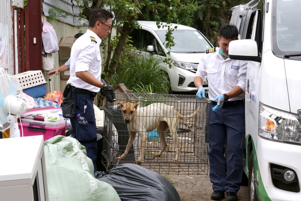 SPCA officers rescue pets during an operation in Hong Kong. Pet owners face stiffer penalties under proposed legislation. Photo: Jonathan Wong