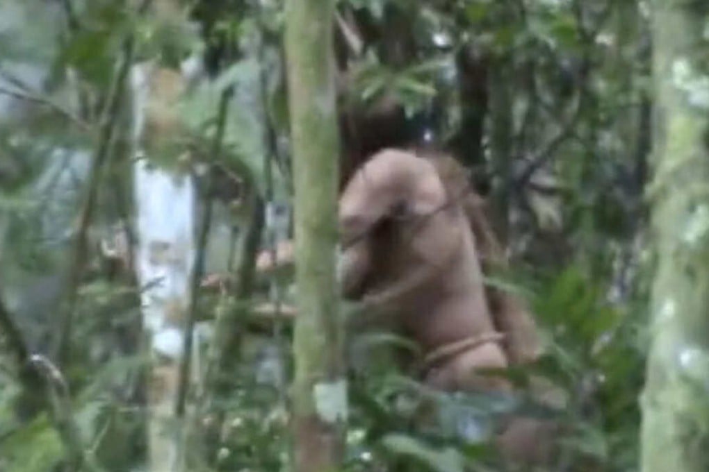 The man was filmed by a government team in 2018, appearing to chop into a tree. Photo: FUNAI