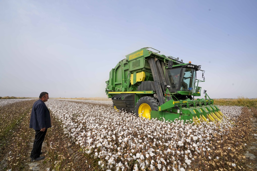 A cotton picker working in Yuli county in Xinjiang Uygur autonomous region. The US government considers cotton products from the Chinese region to be high-risk for forced labour. Photo: Xinhua
