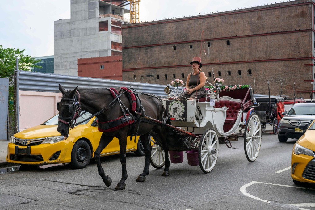 Driver Christina Hansen rides her horse-drawn carriage through Manhattan, New York City, on August 26. Photo: AFP