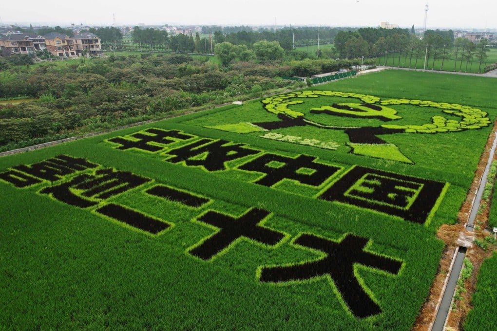 This aerial photo shows an image welcoming the 20th Communist Party Congress, created by growing different varieties of rice, in Hangzhou. State-run media has been proclaiming loyalty to the party ahead of the mid-October event. Photo: AFP