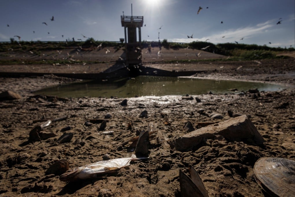 Water levels have been falling in Poyang Lake at a record rate. Photo: Reuters