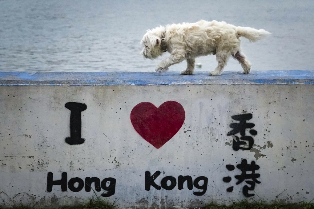 A “Love Hong Kong, Love Tung Chung“ wall painting along the Tung Chung waterfront on February 27, 2021. Photo: Felix Wong