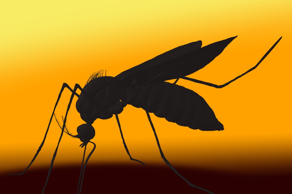 A proposal by deputies to China’s top legislature has called for authorities to wipe out mosquitoes. Experts say the idea won’t fly. Photo: Getty Images