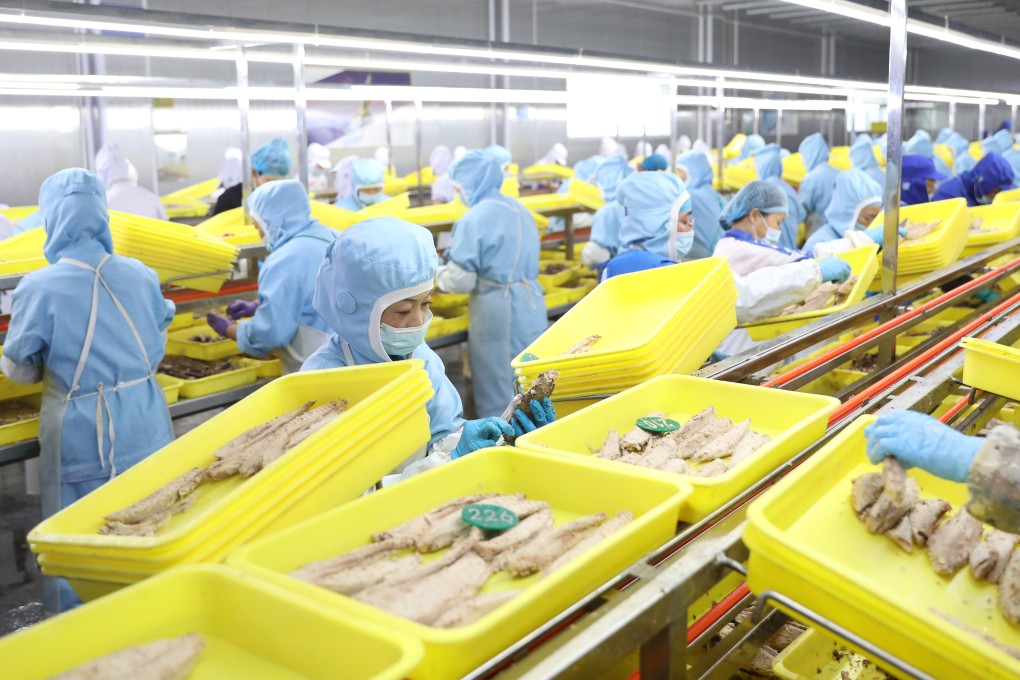 Workers on a production line at a fish processing factory in Liaoning province. Photo: Xinhua