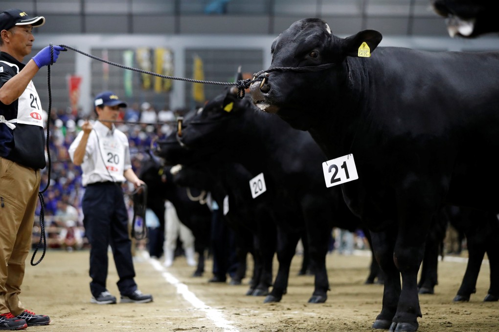 Cattle and breeders take part in the 2017 Wagyu Olympics in the Japanese city of Sendai. Wagyu is regarded as the best beef in the world, but what makes it so special? Photo: Reuters