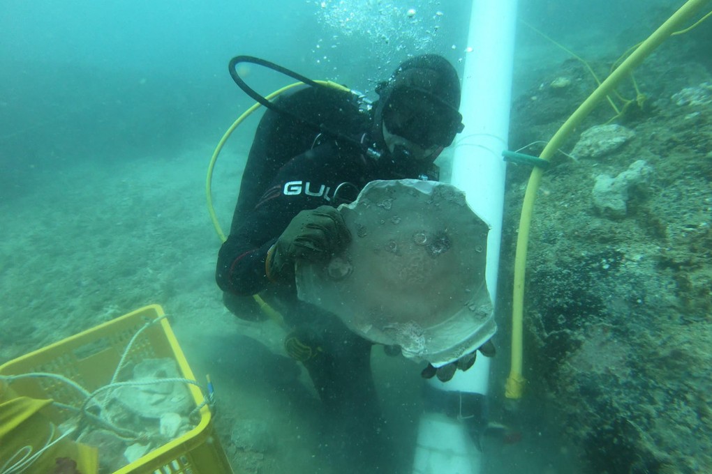 A diver holding a longquan dish, a type of ceramic, that was recovered from a rock crevice. Photo: ISEAS - Yusof Ishak Institute