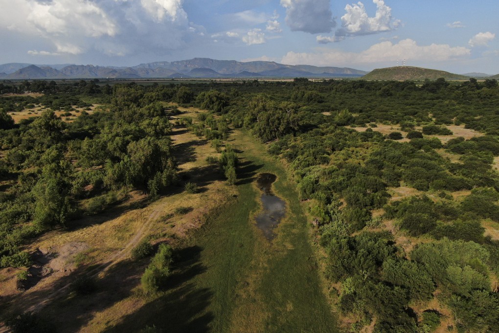 The Yaqui River is dry on the outskirts of Vicam, Mexico. The indigenous Yaqui people find themselves at the centre of a perfect storm: everybody from drug cartels to water-hungry lithium mines wants their land, but they are poor and often do not even have running water. Photo: AP