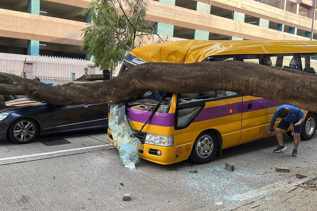 The driver of a school bus and his passenger escaped injuries when a 15-metre-tall flame tree toppled on to the vehicle and three cars outside a school in Hong Kong last month. Photo: Facebook