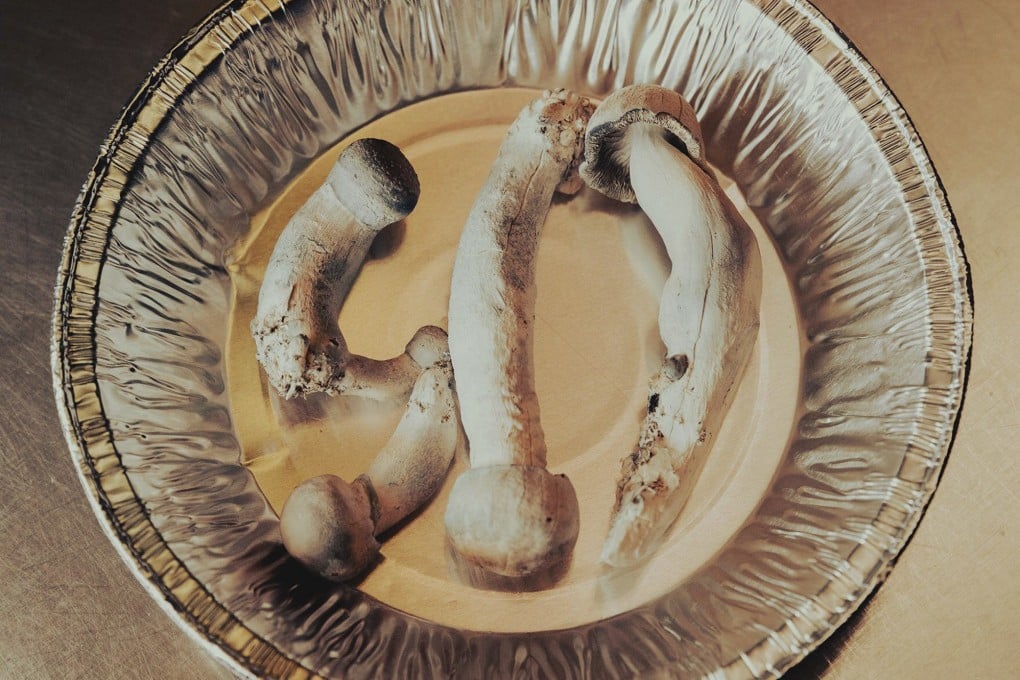 Psychedelics have entered the mainstream to treat conditions from depression to PTSD. As legalisation looms, will the ensuing gold rush lead pharmaceutical firms and clinics to choose profits over patient health? Photo: Bloomberg Businessweek