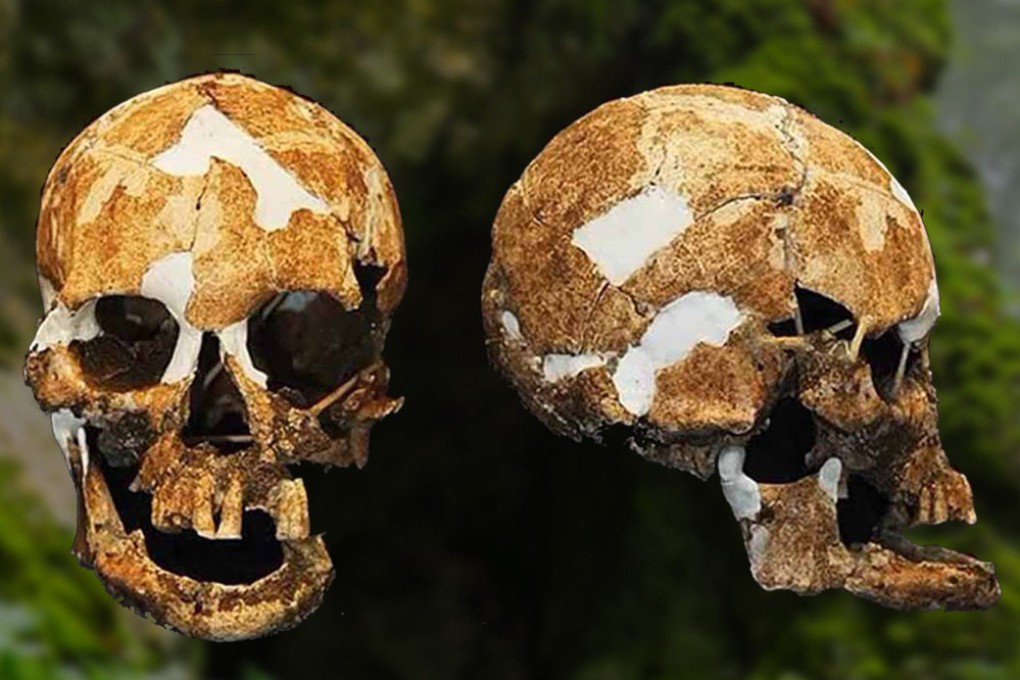 Scientists analysed skulls (pictured) to confirm existence of legendary tiny people in Taiwan. Photo: SCMP composite