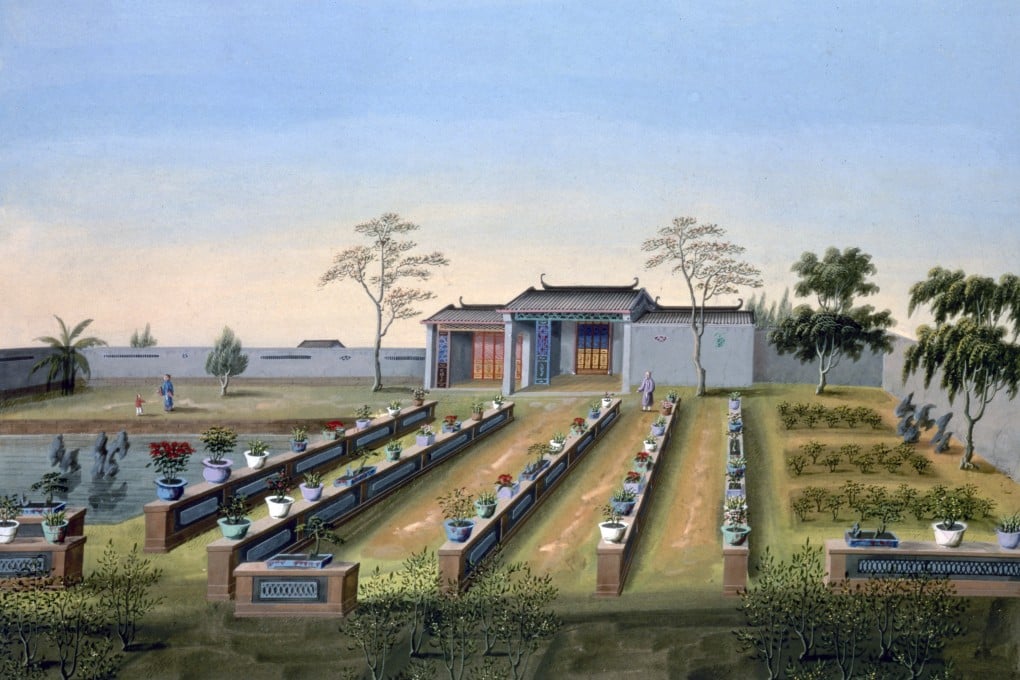 A nursery garden in China circa 1820-1840. Shipping Chinese flowers to Europe became big business in the 19th century, but seawater initially killed many plants en route until trial and error brought about a solution. Photo: Getty Images