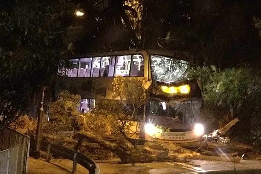 A tree fell on a bus on Monday, injuring seven passengers. Photo: Facebook