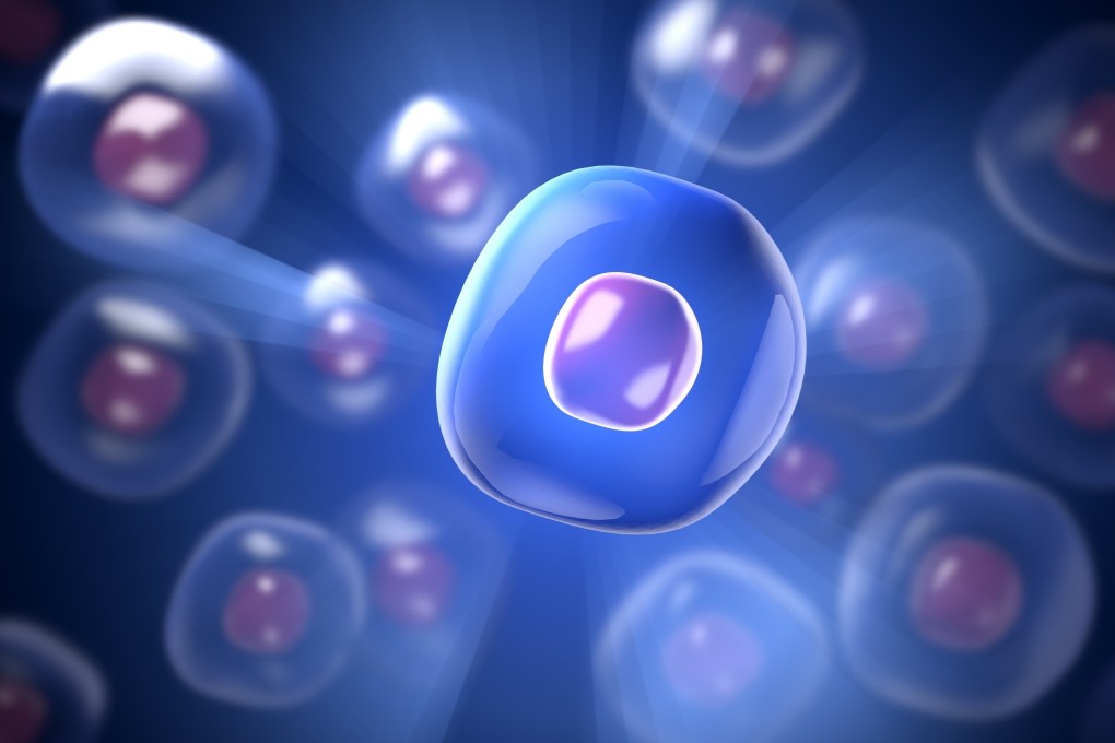 A team led by scientists from Xiamen University in China say they have developed a new drug to mimic glucose starvation at the cellular level. Image: Shutterstock Images