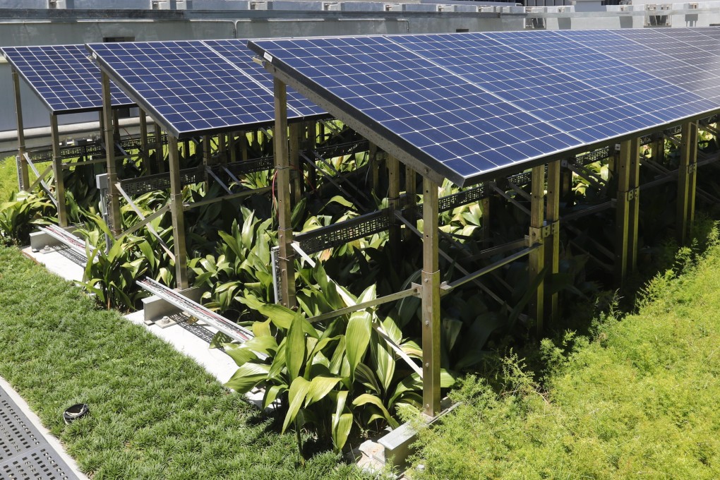 A combined green roof and solar photovoltaic system at One Taikoo Place in Quarry Bay on July 15, 2021. Green roofs and other green building techniques can help cool buildings and reduce use of air conditioning units, which in turn improves the environment and helps the fight against climate change. Photo: Edmond So