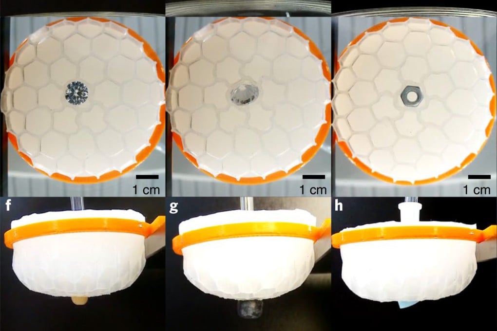 Chinese researchers tested their fruit-inspired invention by grabbing a variety of items. Photo: Handout