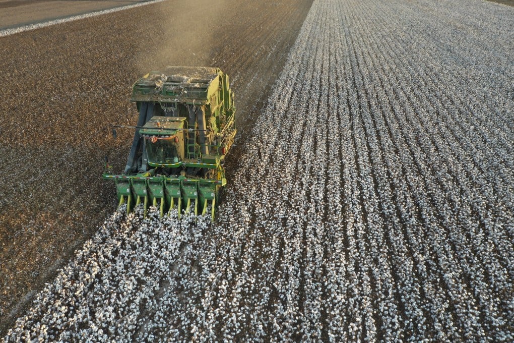 A cotton picker works in a field in northwest China’s Xinjiang Uygur autonomous region. Photo: Xinhua