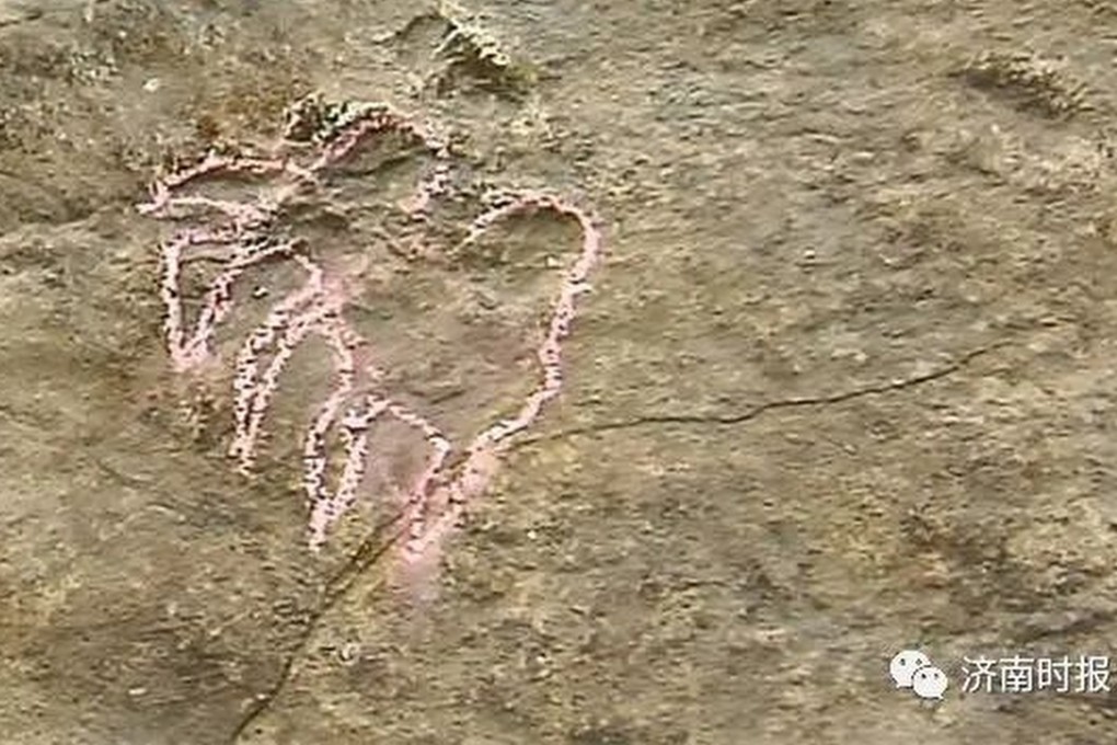 Chinese scientists have discovered fossilised turtle footprints dating back to the Early Cretaceous in Shandong province, leading to the naming of a new turtle group, Zhuchengichnites perfectus. Photo: QQ.com