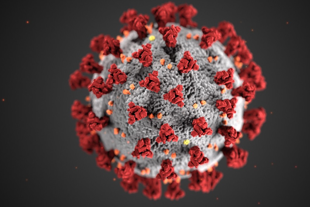 This illustration, created at the Centers for Disease Control and Prevention (CDC), reveals ultrastructural morphology exhibited by coronaviruses. Photo: Handout