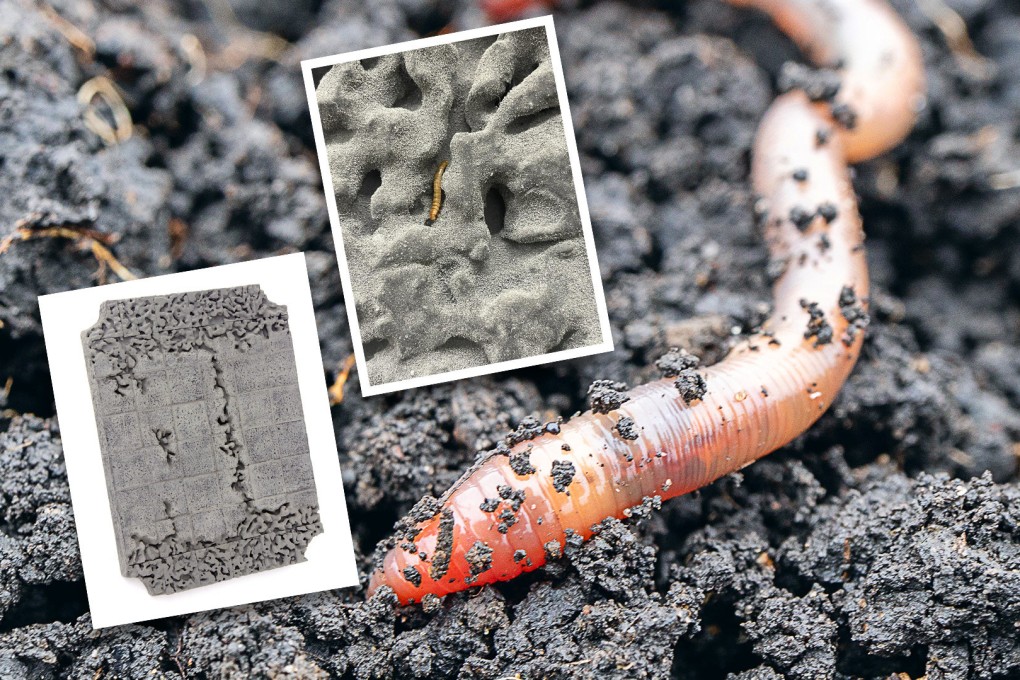 A new Hong Kong art exhibition reveals the creative sculpting power of superworms, which scientists believe can help save the planet. Photo: SCMP composite/handout