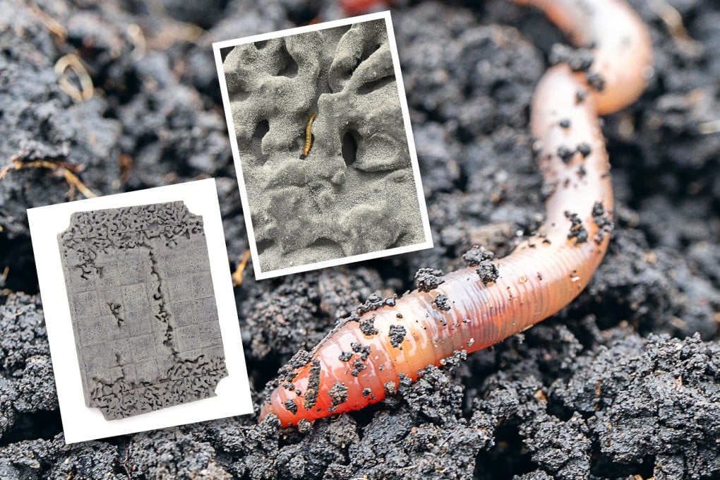 A new Hong Kong art exhibition reveals the creative sculpting power of superworms, which scientists believe can help save the planet. Photo: SCMP composite/handout