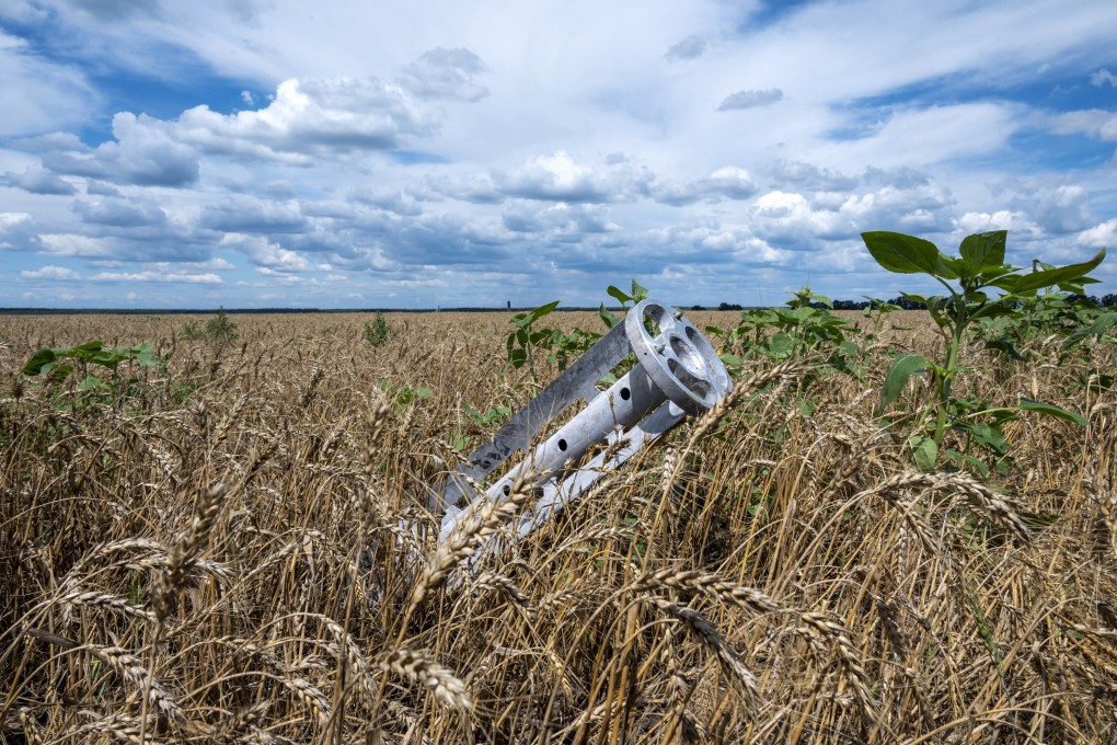 Amid war, food shortages and global warming, a new joint Chinese-Dutch study says a plant-based global food plan could be the answer. Photo: AFP