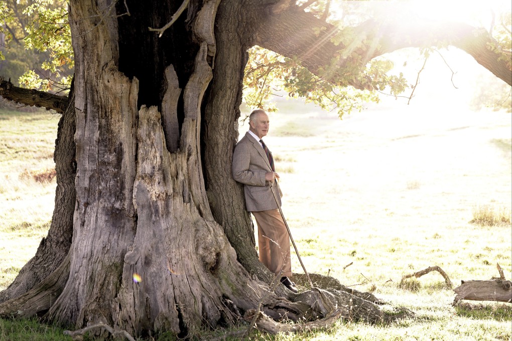 Britain’s King Charles III stands beside an ancient oak tree in Windsor Great Park to mark his appointment as Ranger of the Park on his 74th birthday. Photo: Reuters