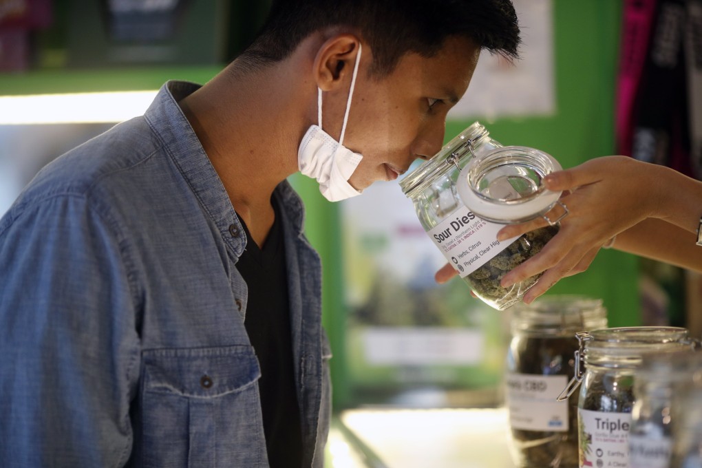A customer smells cannabis buds at a newly opened coffeeshop and smoking lounge in Bangkok. Revised rules say that only cannabis buds, not the whole plant, will be considered a ‘controlled herb’ in Thailand. Photo: EPA-EFE