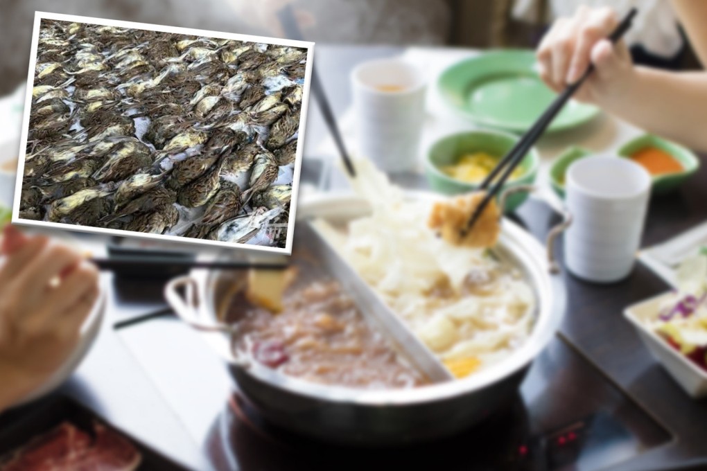 A man in China is arrested after catching and killing wild birds so he could eat them. Photo: SCMP composite