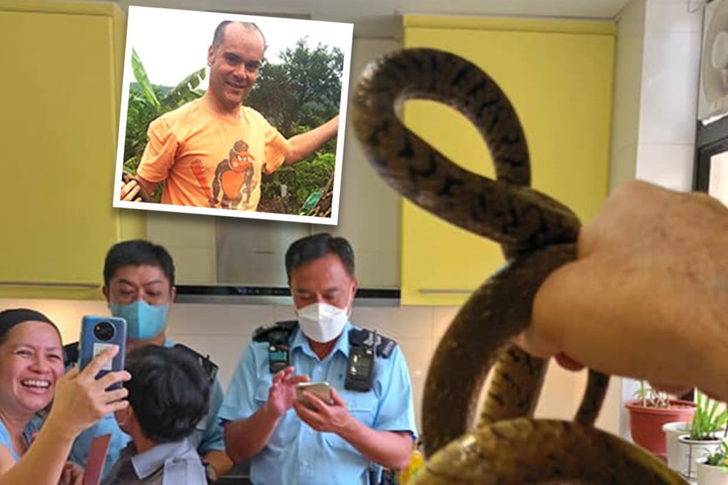 A snake catcher reveals the reptilian underbelly of Hong Kong — everything from poisonous vipers in a quarantine centre to cobras hiding in flats. Photo: SCMP composite