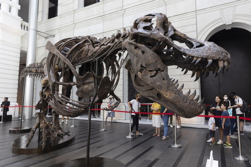 Visitors look at the skeleton of a Tyrannosaurus rex named ‘Shen’ during a preview in Singapore ahead of its planned sale in Hong Kong, which auctioneer Christie’s has now scrapped. Photo: EPA-EFE