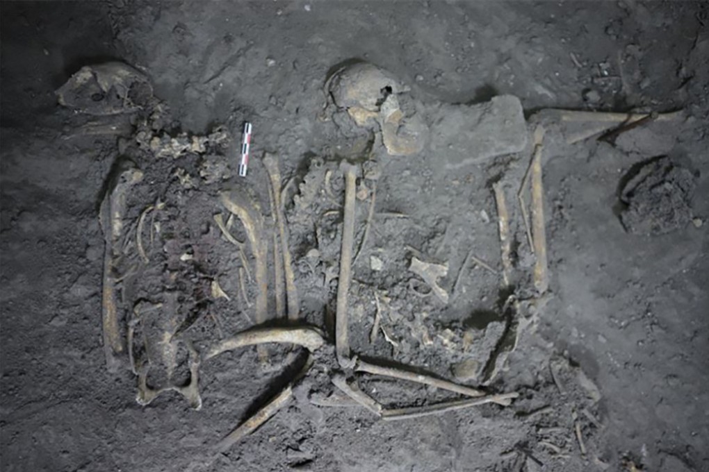 The complete skeletal remains of a 1,700-year-old female spider monkey that was found in Teotihuacan, Mexico. Photo: Nawa Sugiyama / UC Riverside via AFP