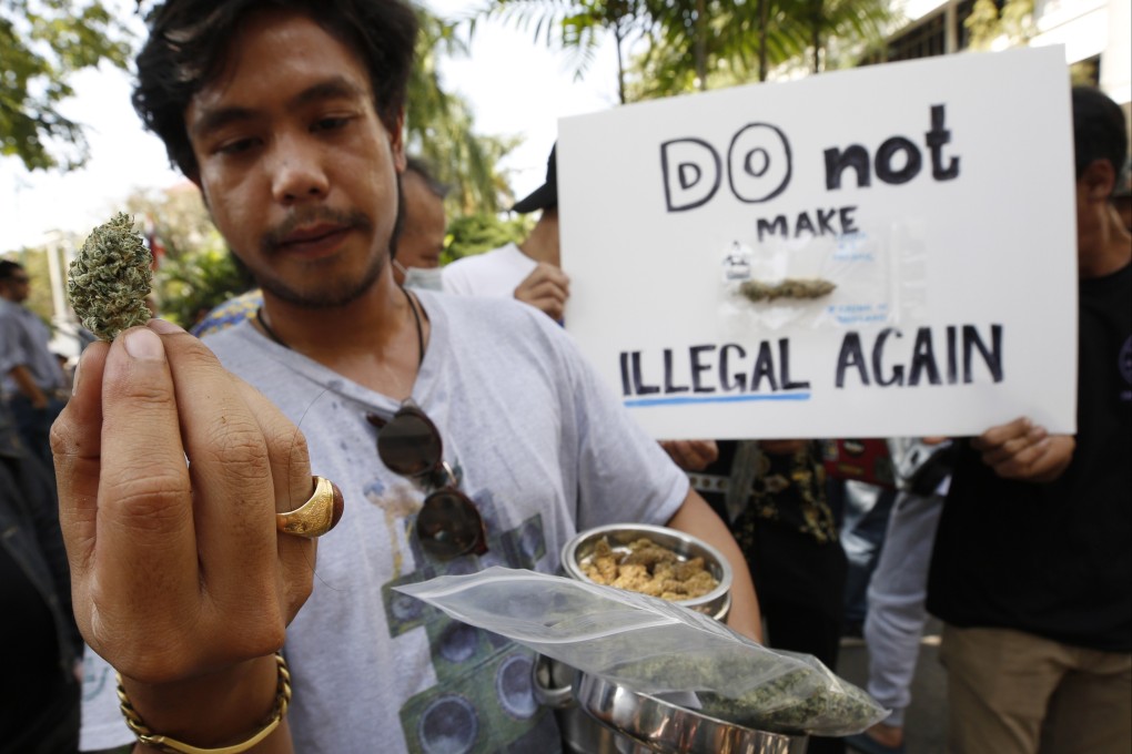 Cannabis enthusiasts take part in a protest near Government House in Bangkok on Tuesday calling for the drug to remain decriminalised. Photo: EPA-EFE